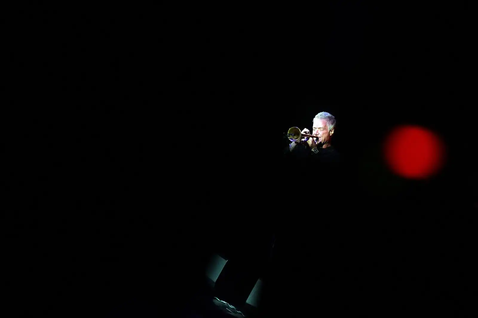 Chris Botti (2)