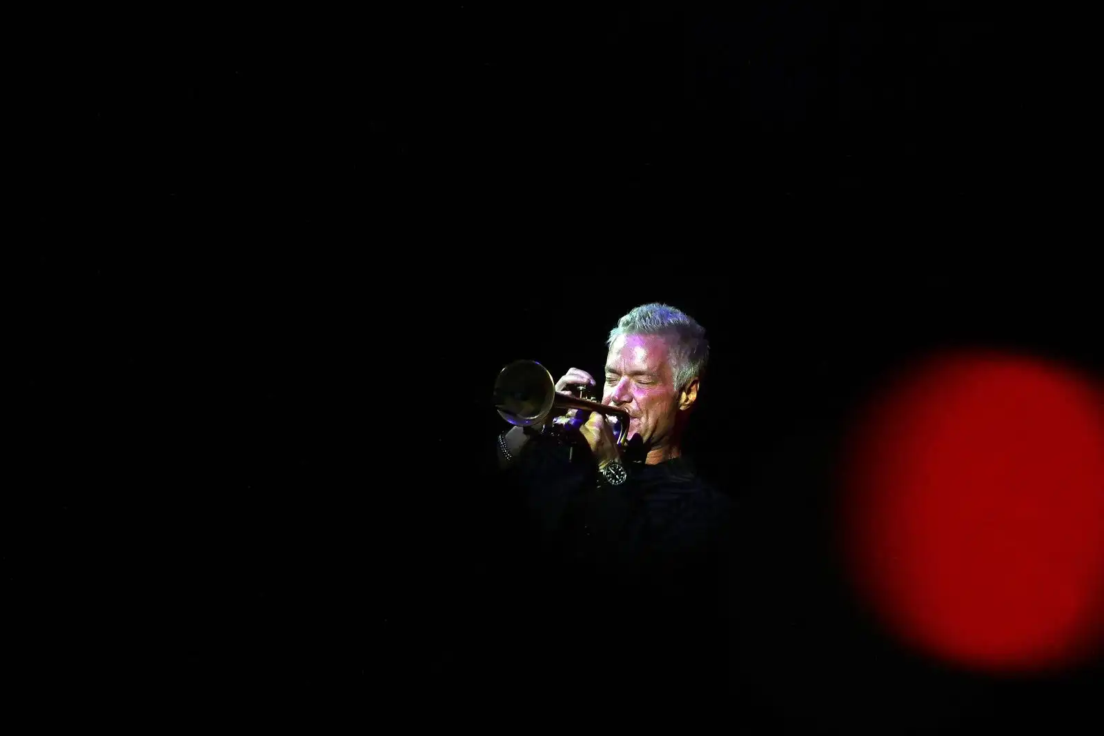 Chris Botti (4)