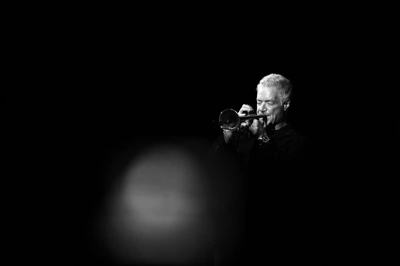 Chris Botti (8)