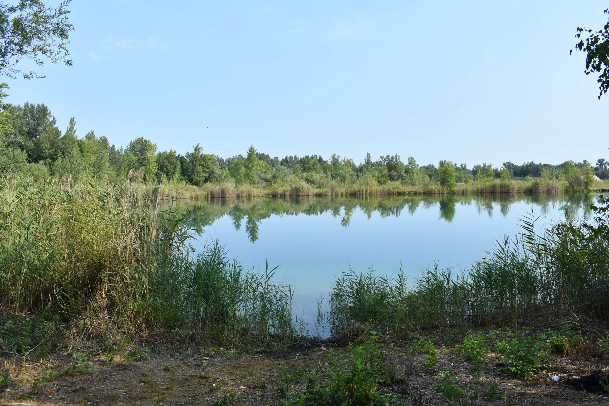 Cirkovljan graba kupalište (1) Cirkovljan graba kupalište (1)