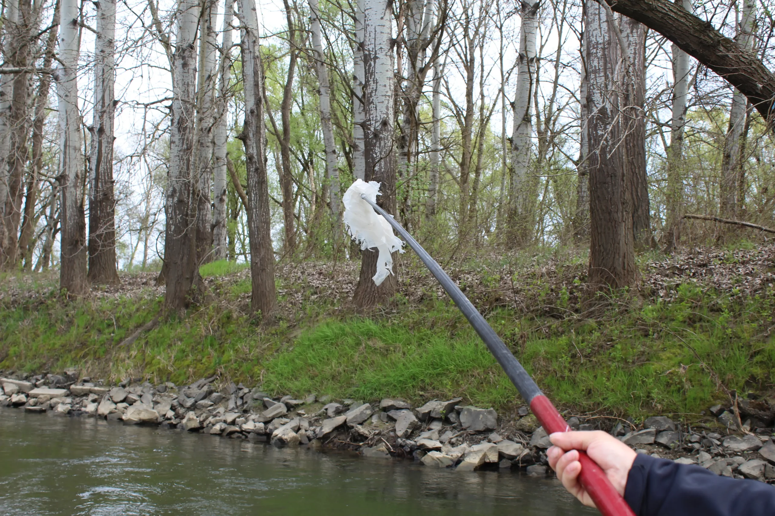 Čišćenje obale rijeke Mure u Kotoribi (1) Čišćenje obale rijeke Mure u Kotoribi (1)
