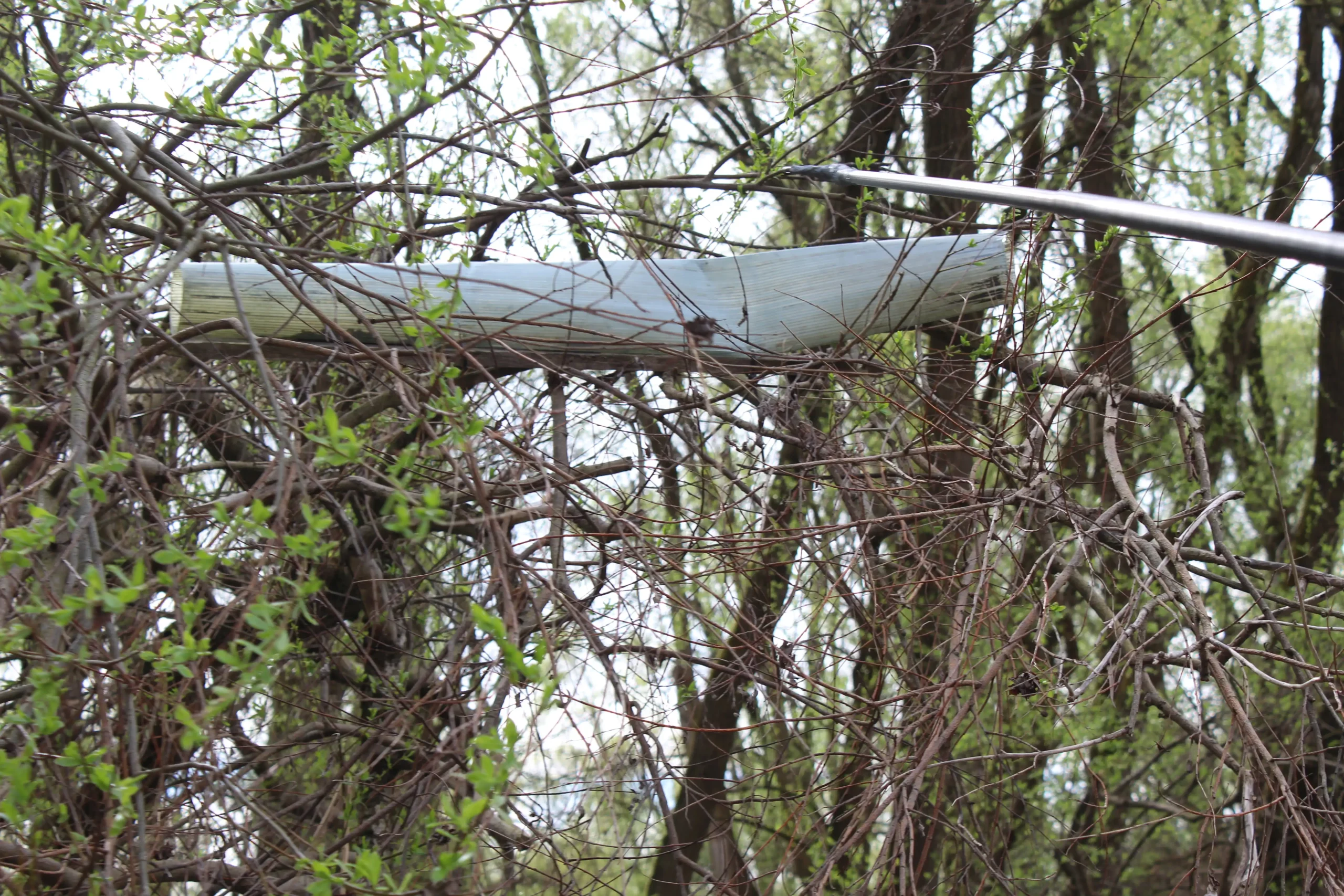 Čišćenje obale rijeke Mure u Kotoribi (12) Čišćenje obale rijeke Mure u Kotoribi (12)