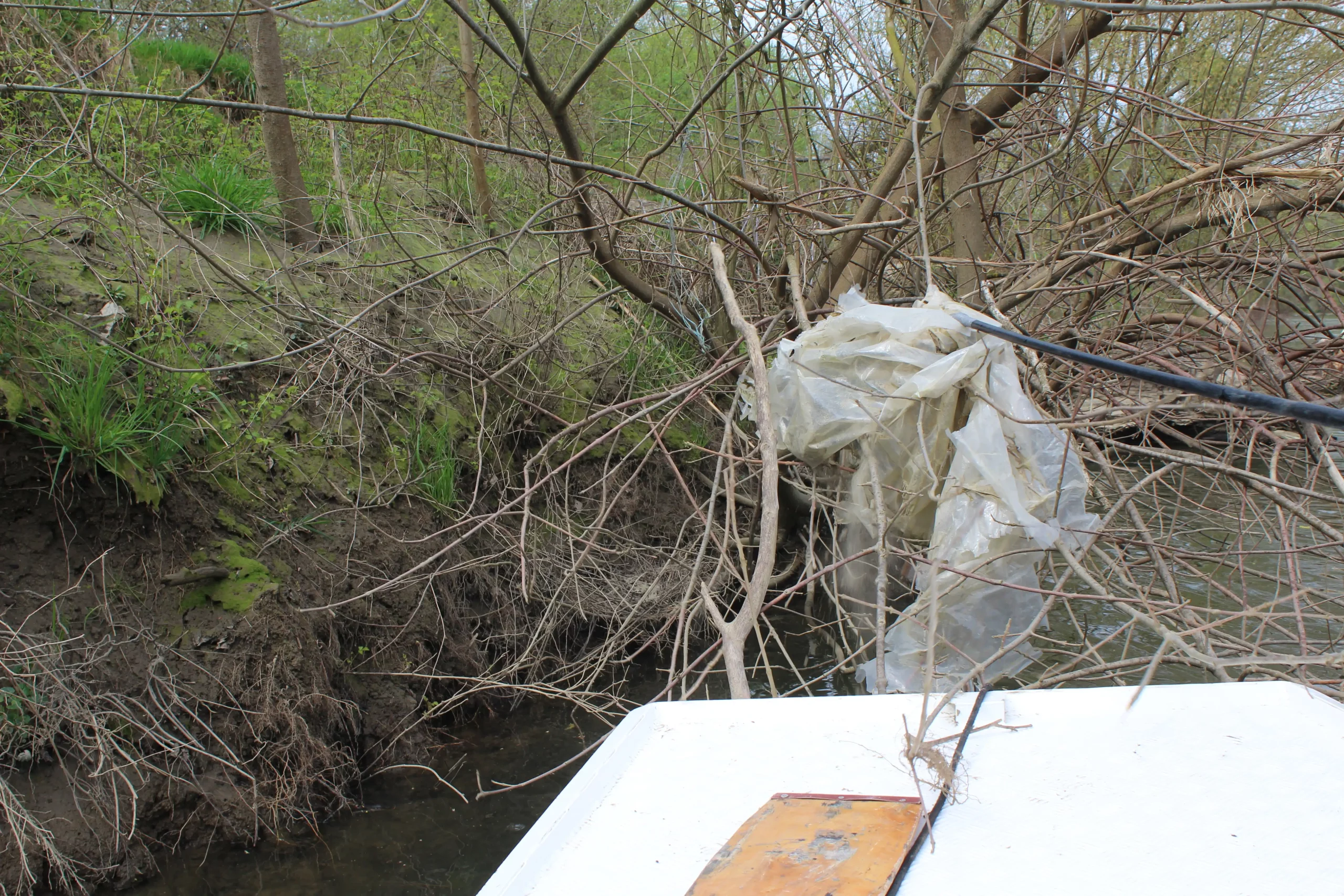 Čišćenje obale rijeke Mure u Kotoribi (13) Čišćenje obale rijeke Mure u Kotoribi (13)