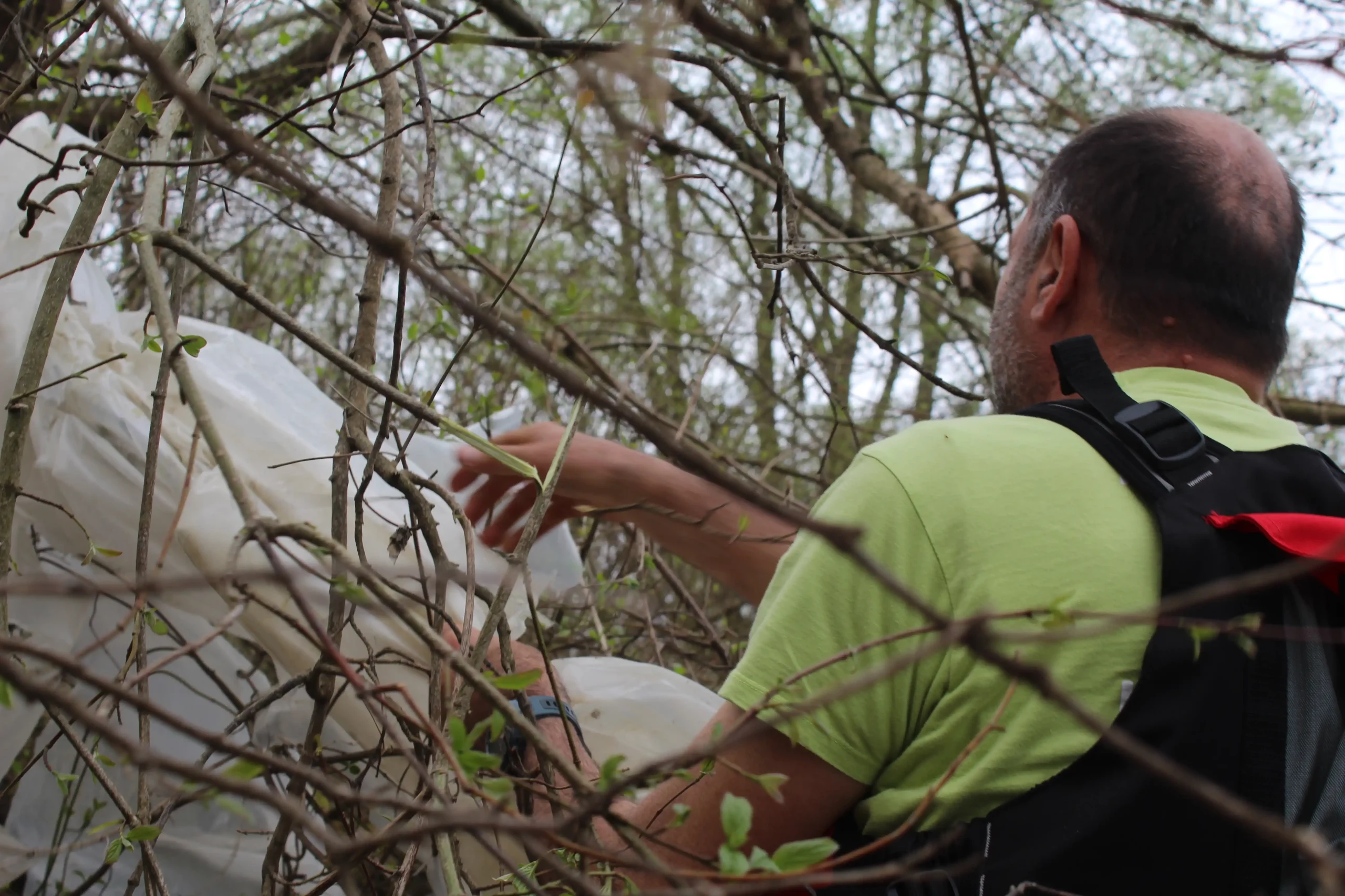 Čišćenje obale rijeke Mure u Kotoribi (15) Čišćenje obale rijeke Mure u Kotoribi (15)