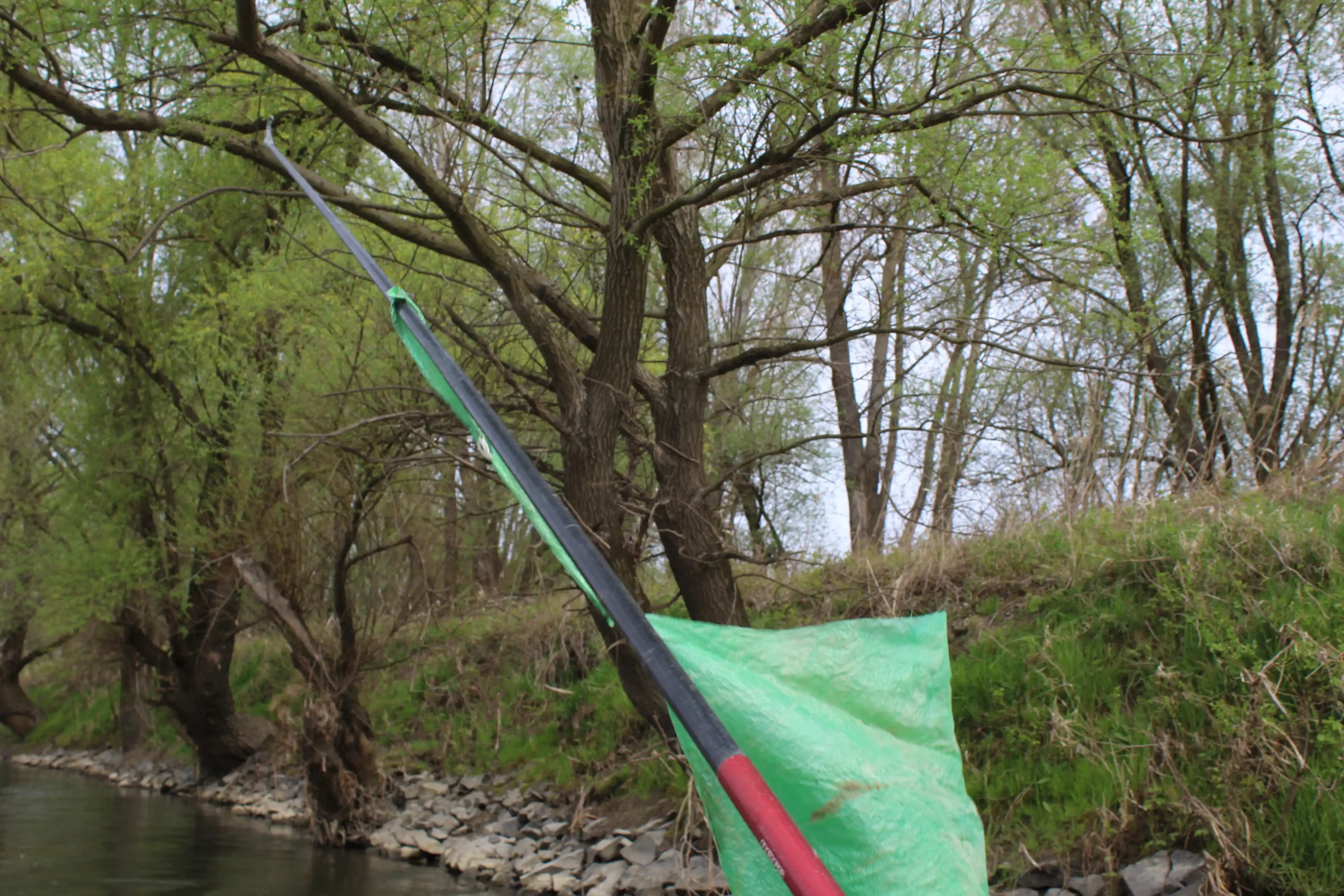 Čišćenje obale rijeke Mure u Kotoribi (18) Čišćenje obale rijeke Mure u Kotoribi (18)