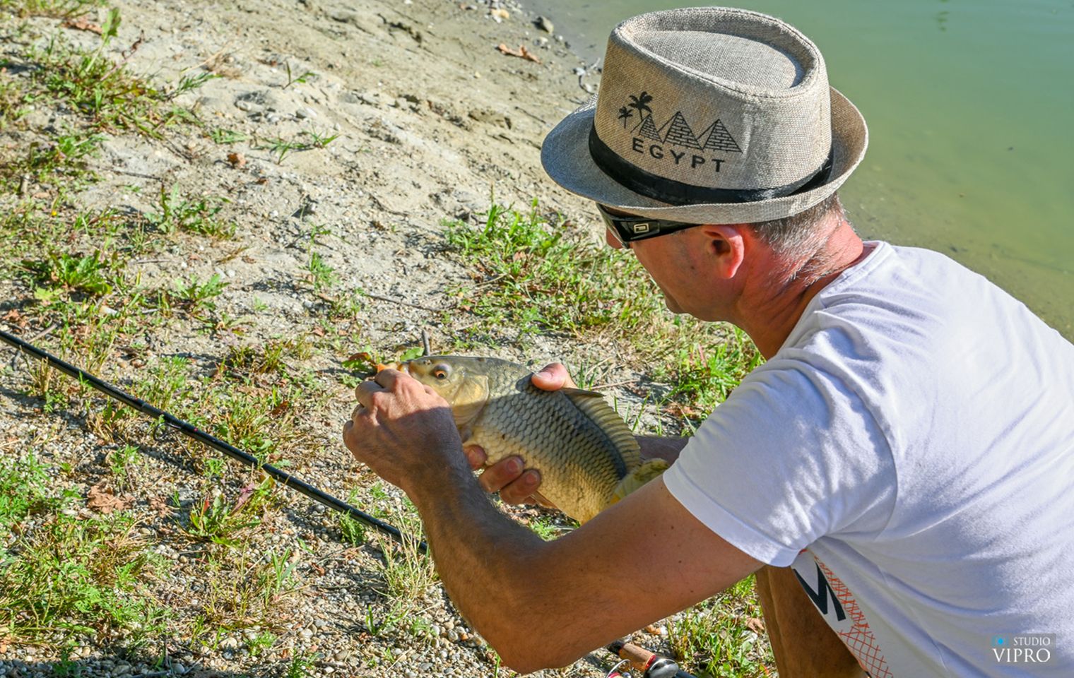 studio VIPRO studio VIPRO