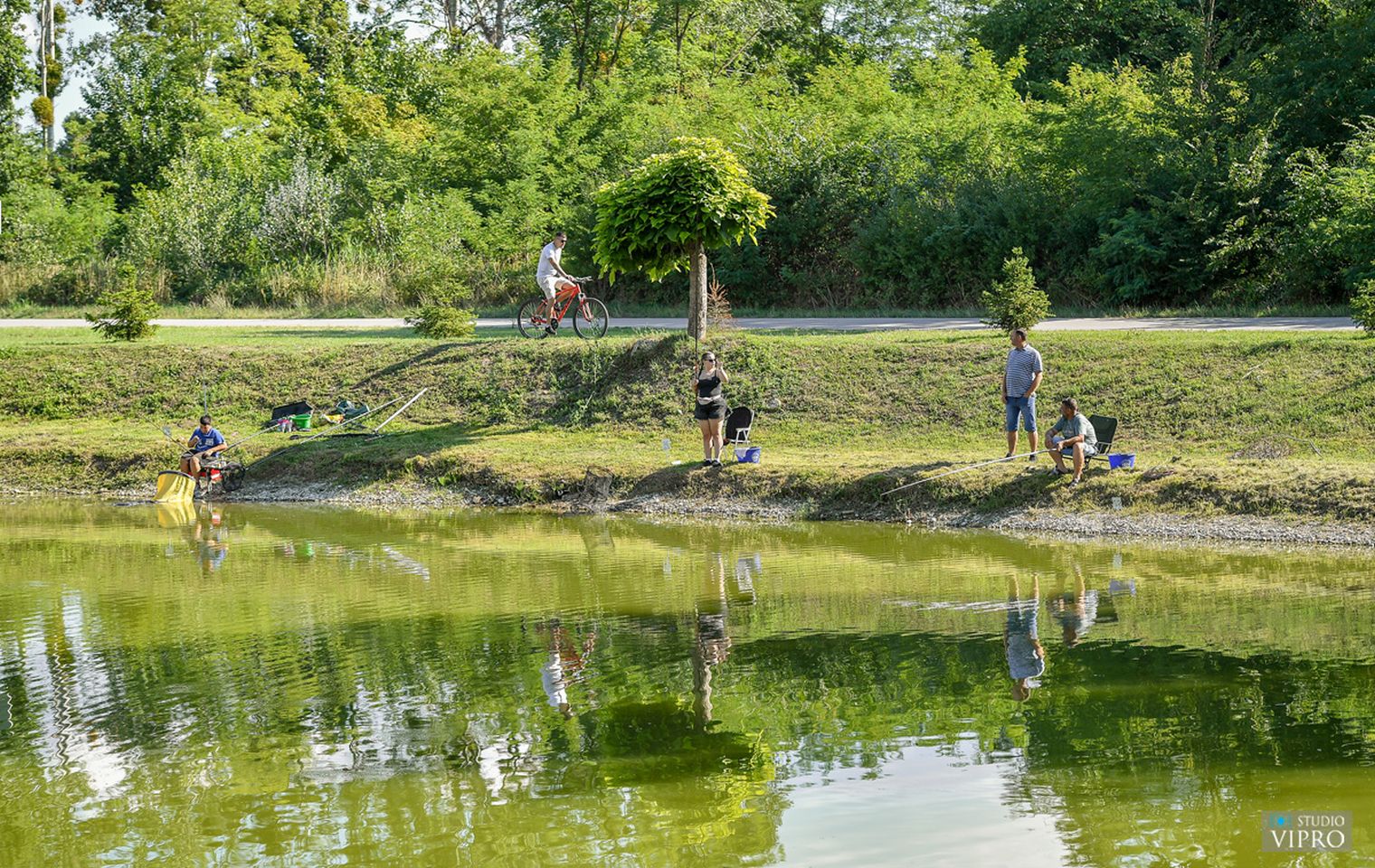 studio VIPRO studio VIPRO