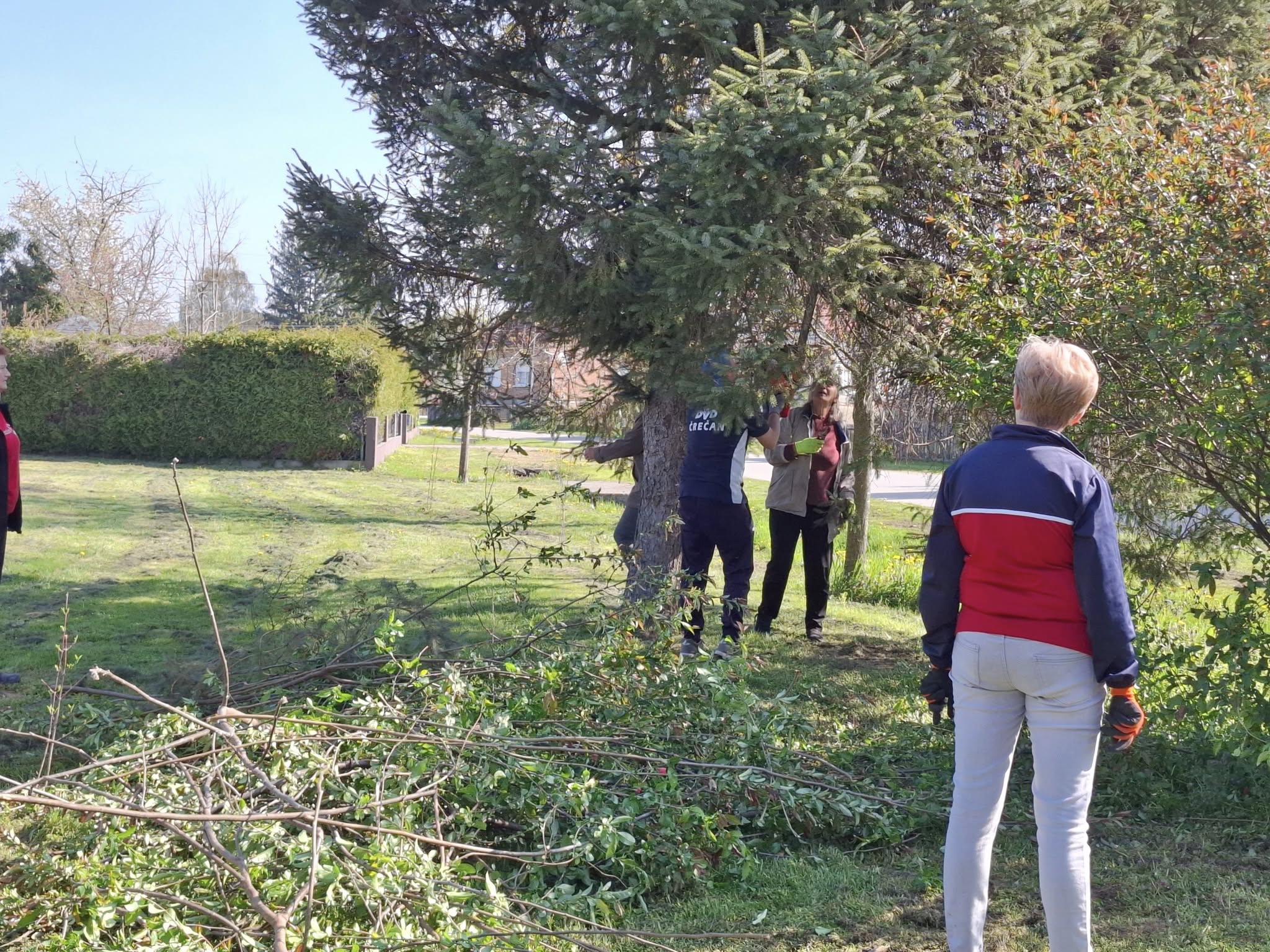 Črečan, zelena čistka (10) Črečan, zelena čistka (10)