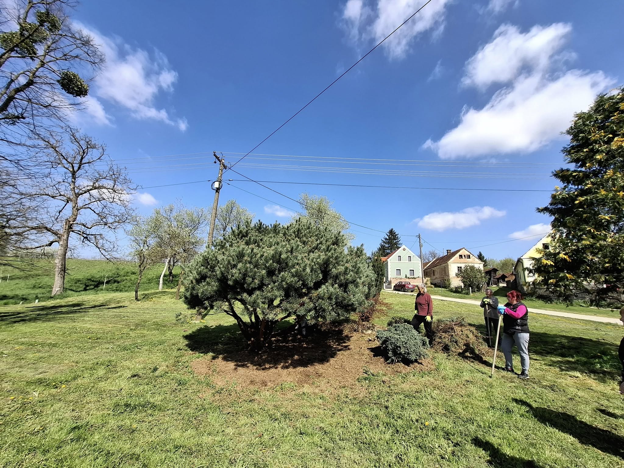 Črečan, zelena čistka (4) Črečan, zelena čistka (4)