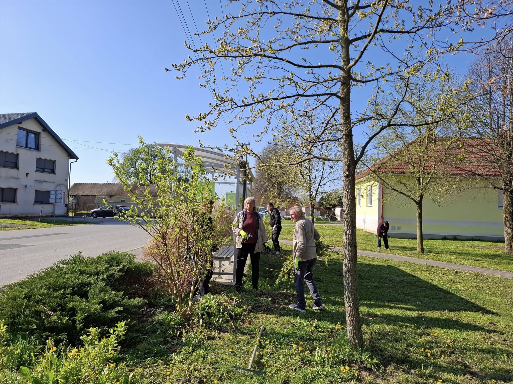 Črečan, zelena čistka (6) Črečan, zelena čistka (6)