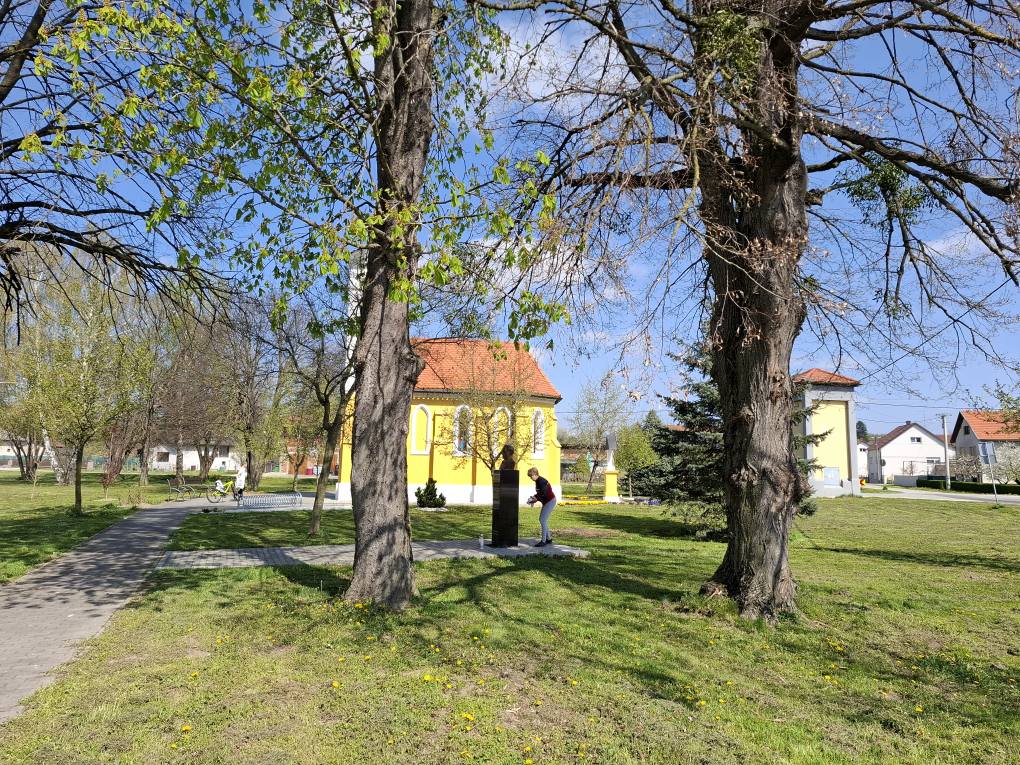 Črečan, zelena čistka (7) Črečan, zelena čistka (7)