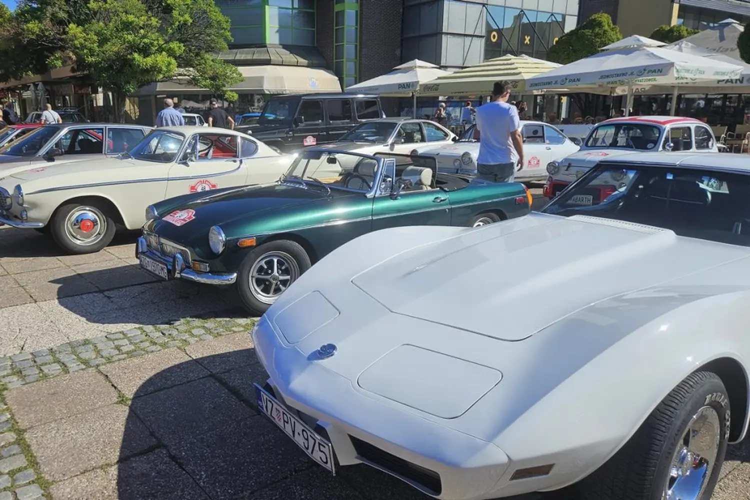 Croatia Classic Tourist Trophy Rally (10)