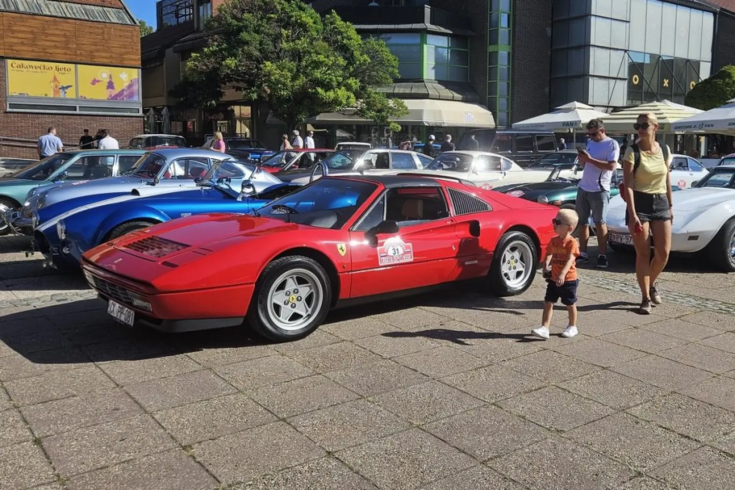 Croatia Classic Tourist Trophy Rally (8)