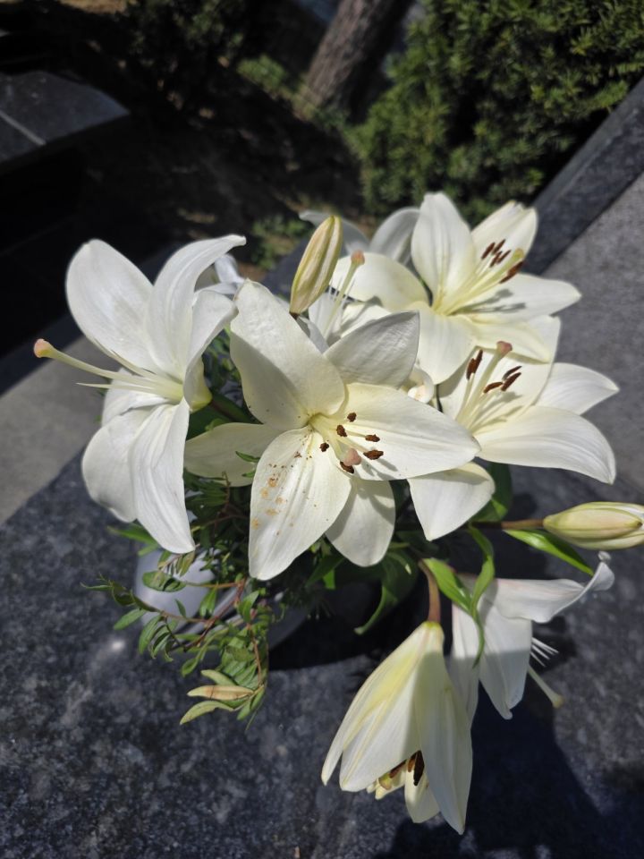 Cvijeće i dekoracije na čakovečkom groblju 2026 (1)