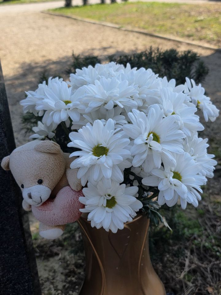 Cvijeće i dekoracije na čakovečkom groblju 2026 (11)