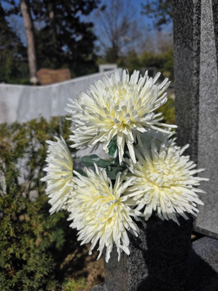 Cvijeće i dekoracije na čakovečkom groblju 2026 (6)