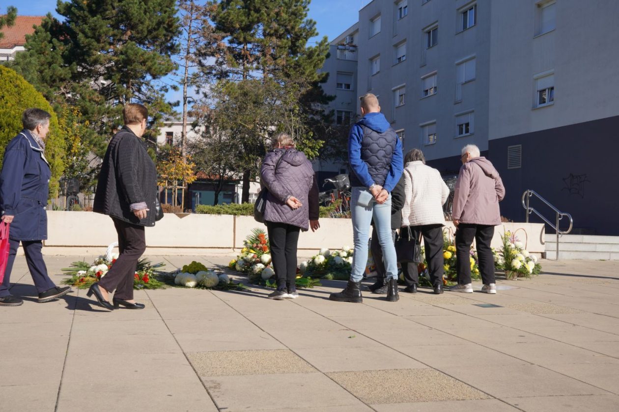 Cvijeće svi sveti krizanteme lončanice aranžmani (1)