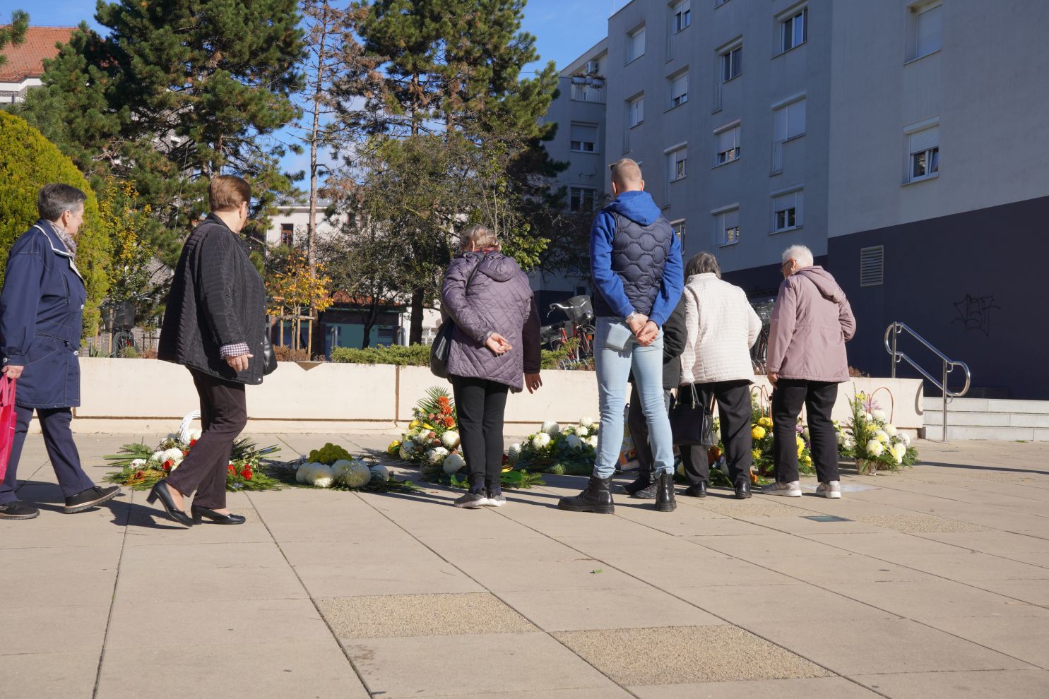 Cvijeće svi sveti krizanteme lončanice aranžmani (1)