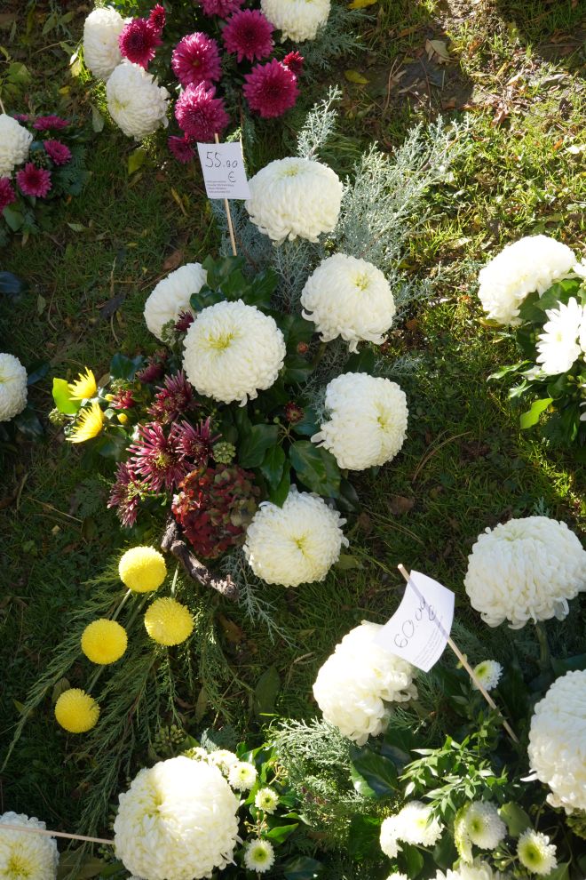 Cvijeće svi sveti krizanteme lončanice aranžmani (10)