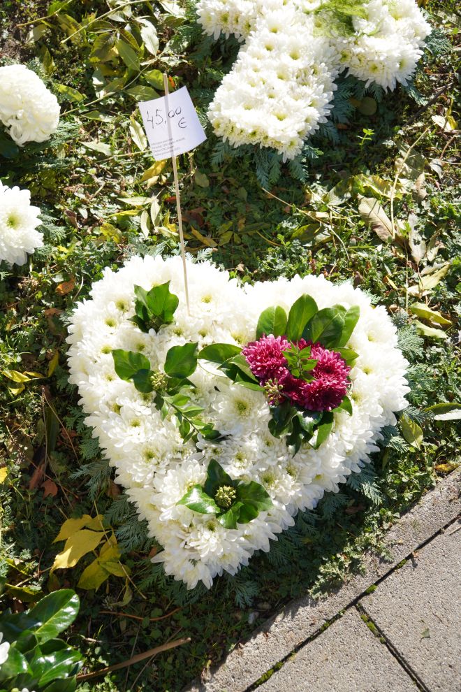 Cvijeće svi sveti krizanteme lončanice aranžmani (11)