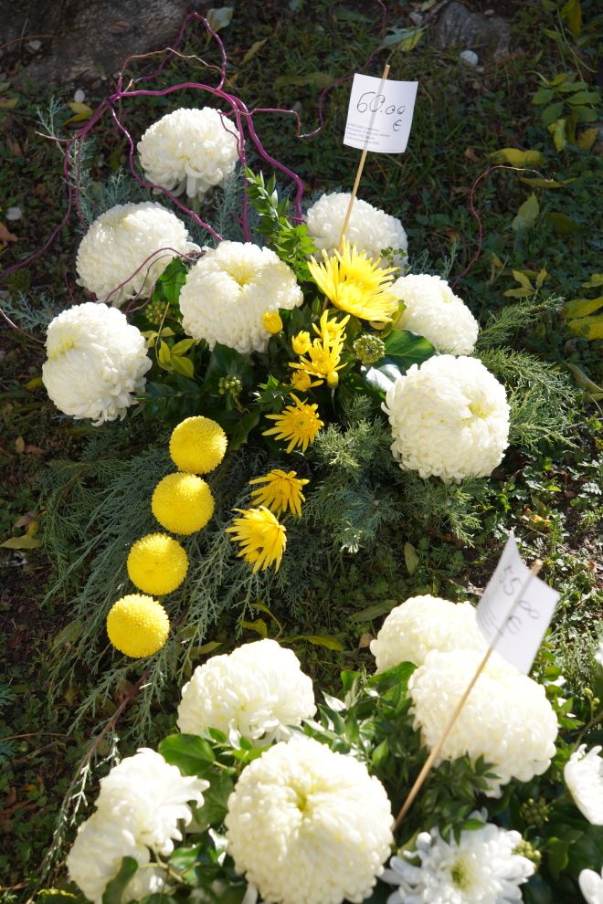 Cvijeće svi sveti krizanteme lončanice aranžmani (12)