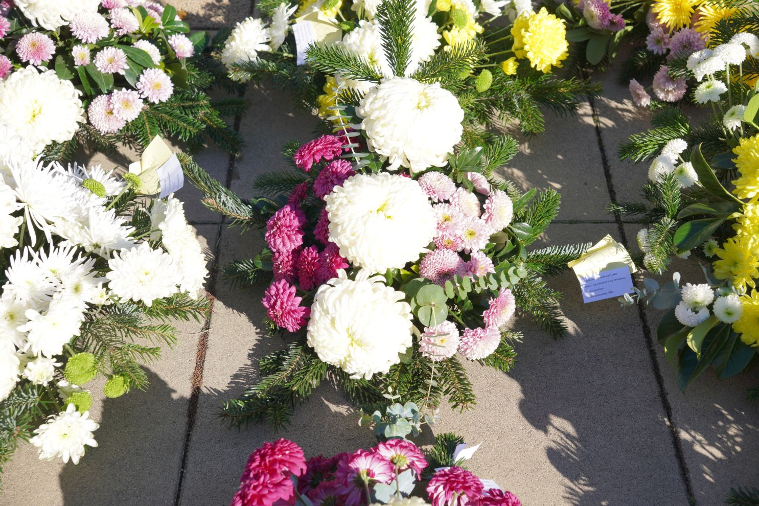 Cvijeće svi sveti krizanteme lončanice aranžmani (13)