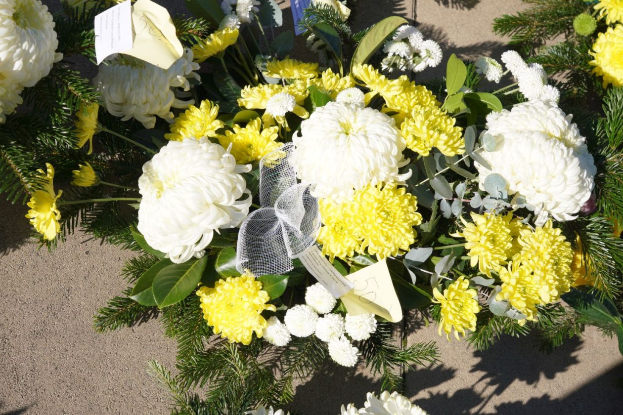 Cvijeće svi sveti krizanteme lončanice aranžmani (15)