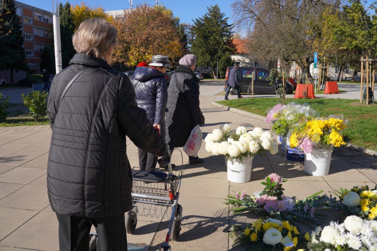 Cvijeće svi sveti krizanteme lončanice aranžmani (17)