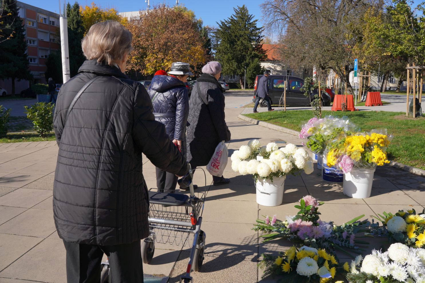 Cvijeće svi sveti krizanteme lončanice aranžmani (17)
