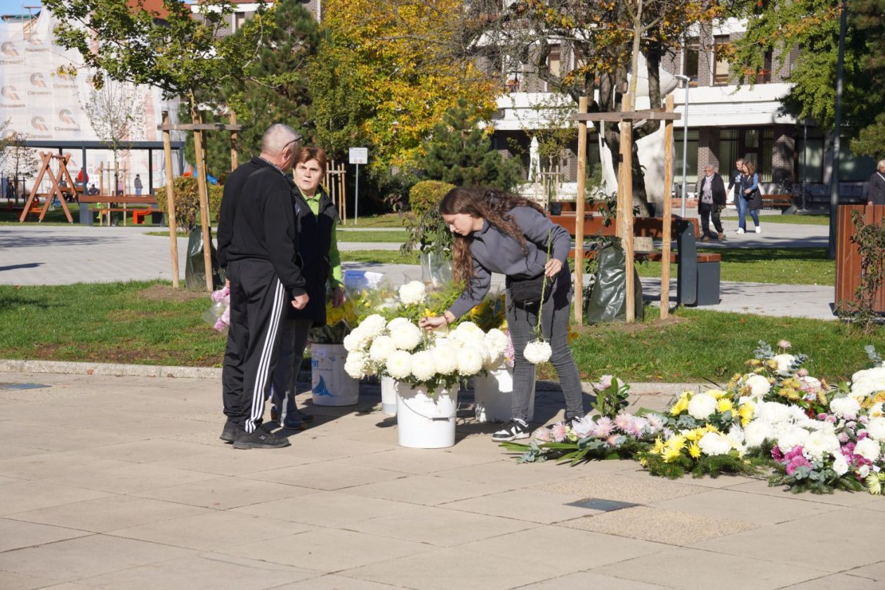 Cvijeće svi sveti krizanteme lončanice aranžmani (21)