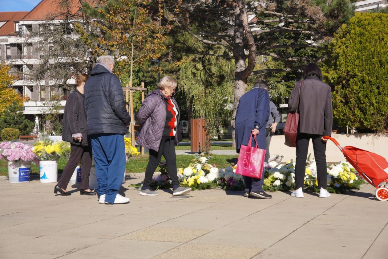 Cvijeće svi sveti krizanteme lončanice aranžmani (23)