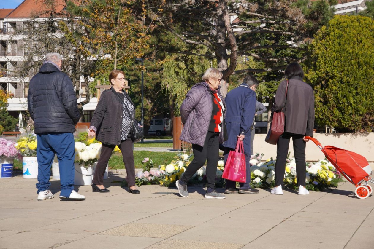 Cvijeće svi sveti krizanteme lončanice aranžmani (24)