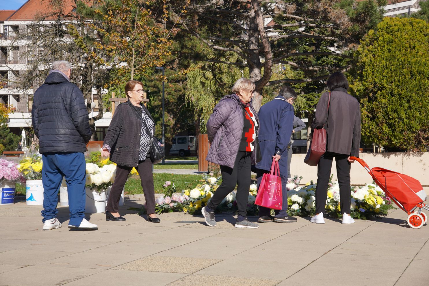 Cvijeće svi sveti krizanteme lončanice aranžmani (24)