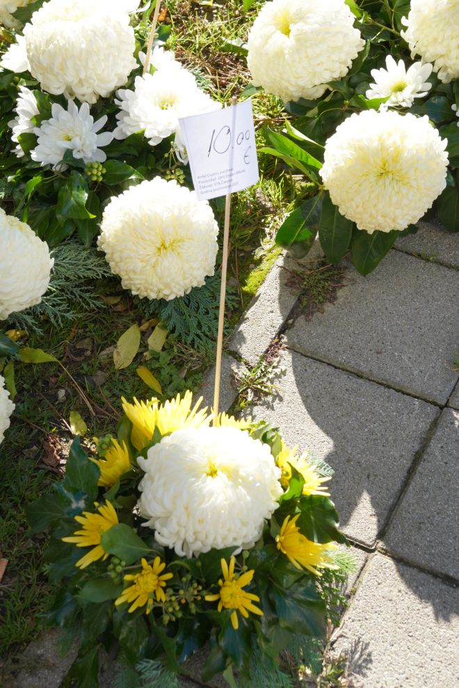 Cvijeće svi sveti krizanteme lončanice aranžmani (9)