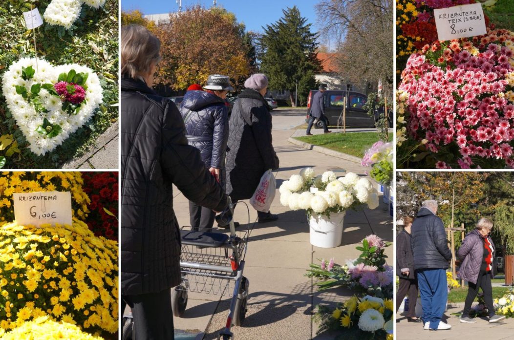 Cvijeće za Sve Svete