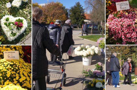 Cvijeće za Sve Svete