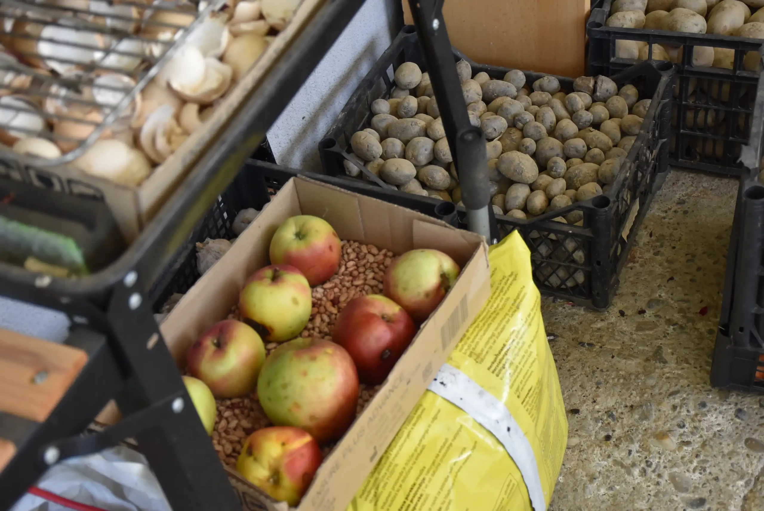 Cviježe Željka Šprema (18) Cviježe Željka Šprema (18)