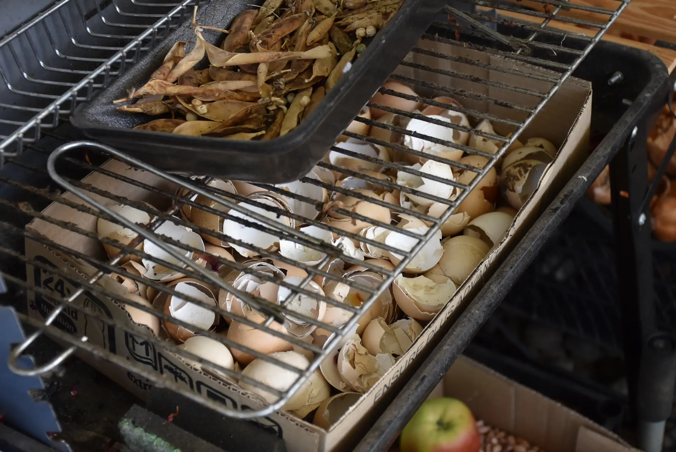 Cviježe Željka Šprema (19) Cviježe Željka Šprema (19)