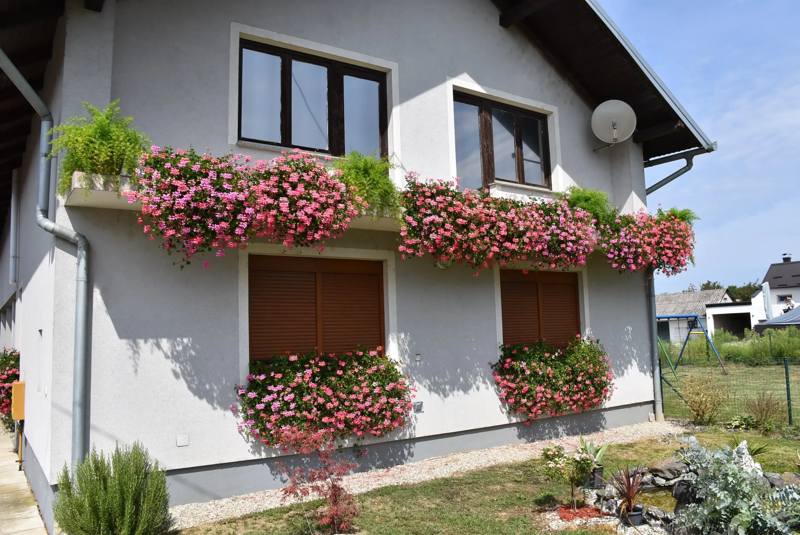 Cviježe Željka Šprema (2) Cviježe Željka Šprema (2)