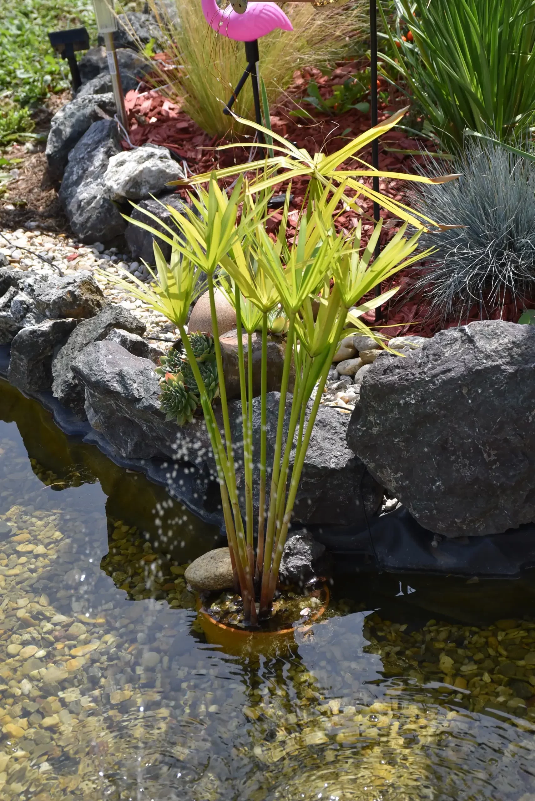 Cviježe Željka Šprema (28) Cviježe Željka Šprema (28)