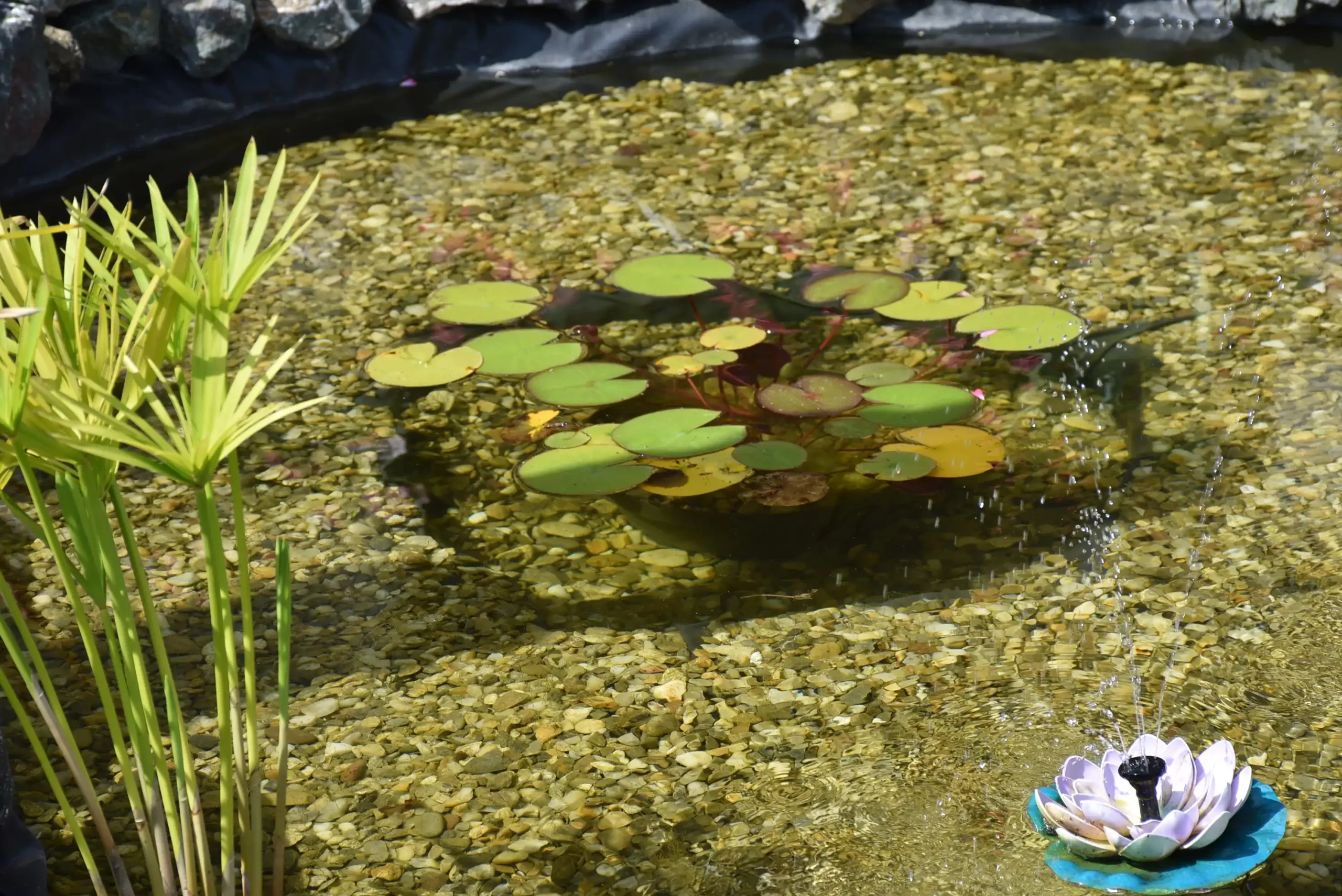 Cviježe Željka Šprema (29) Cviježe Željka Šprema (29)
