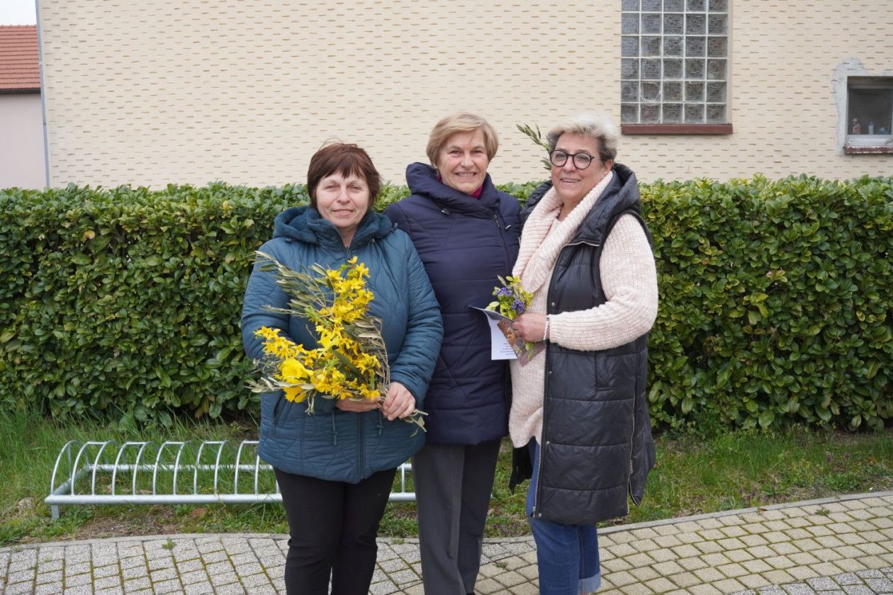 Cvjetnica (2) Cvjetnica (2)