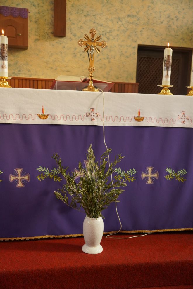 Cvjetnica Dunjkovec (2)