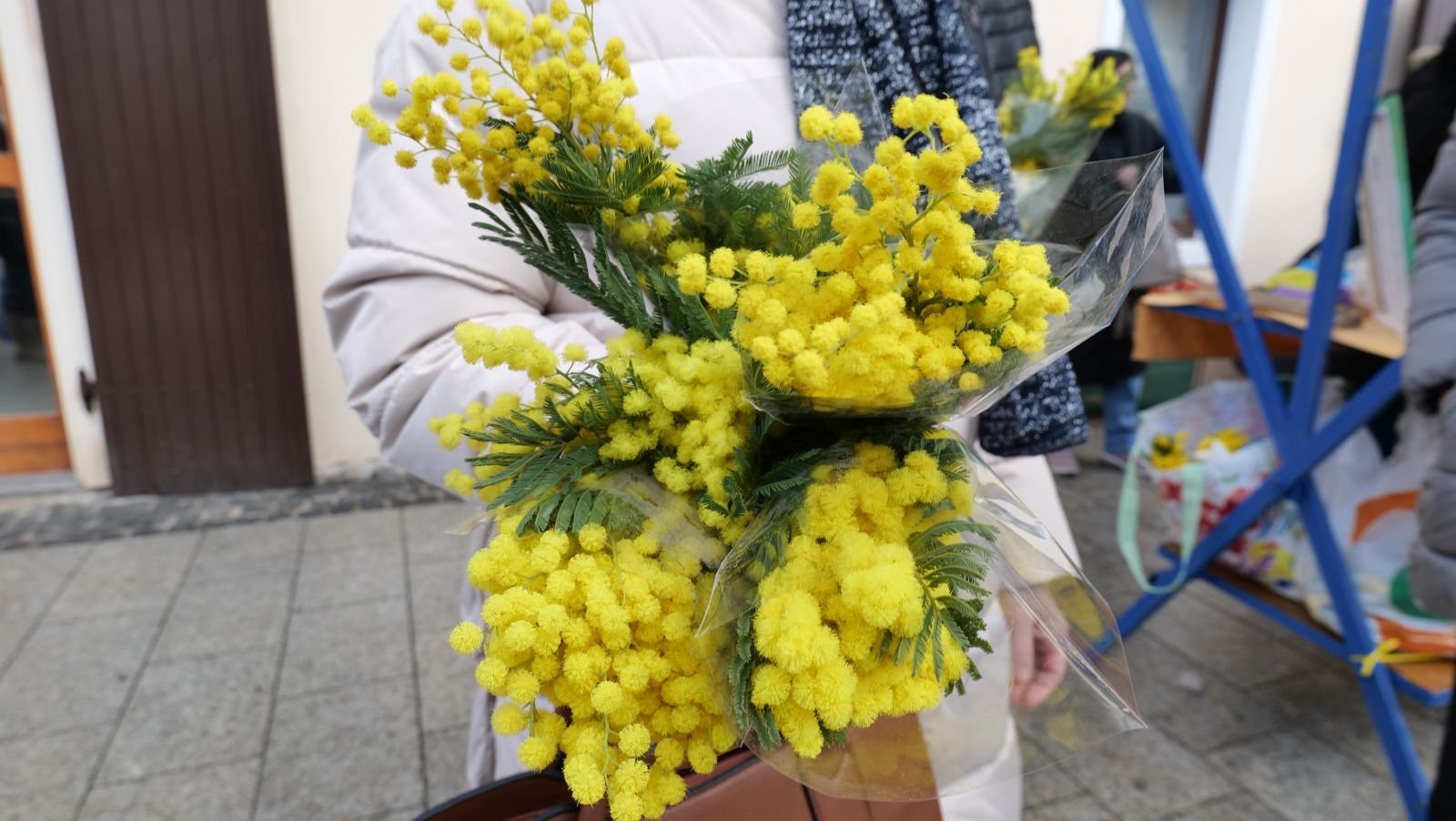 DAN MIMOZA Na Trgu Republike u tijeku tradicionalna akcija podizanja svijesti o raku vrata maternice (22)