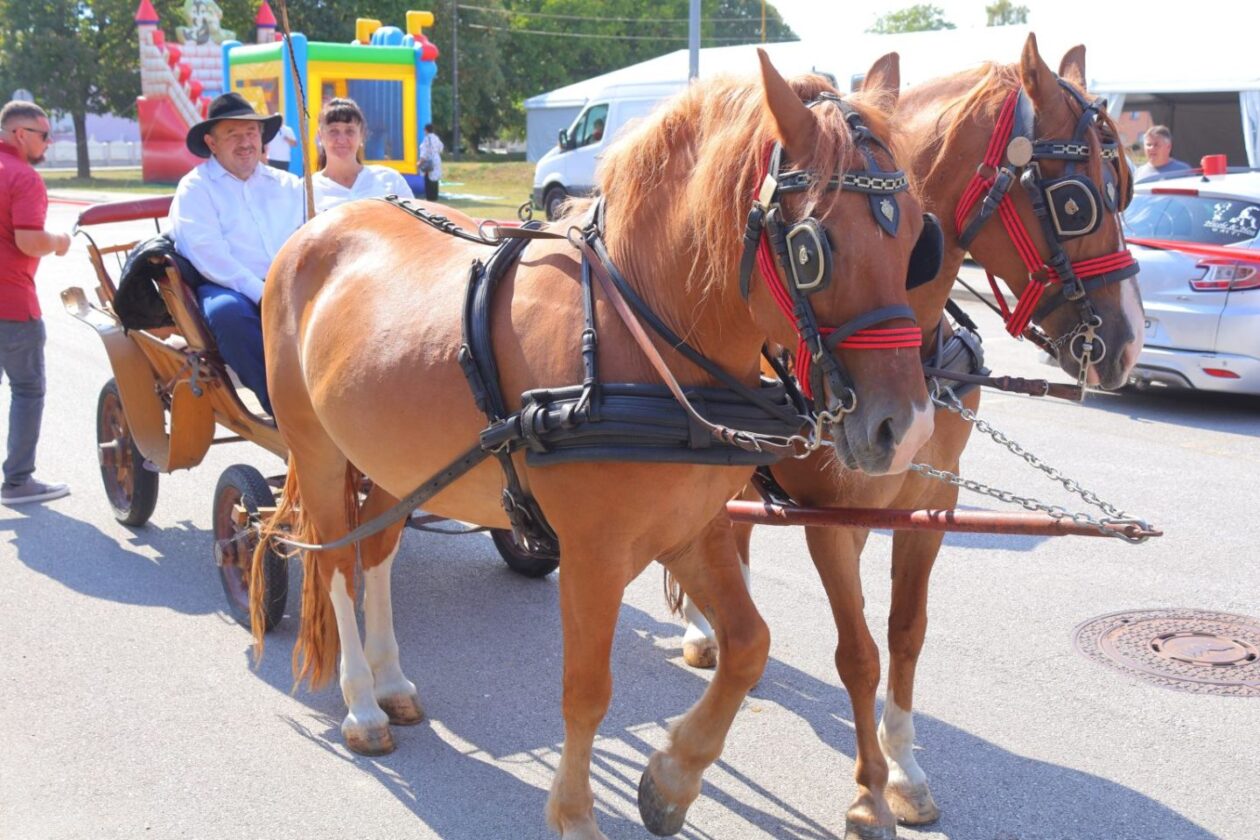 DAN MJESTA Savska Ves slavila uz budnicu, mimohod i nogomet (32) DAN MJESTA Savska Ves slavila uz budnicu, mimohod i nogomet (32)