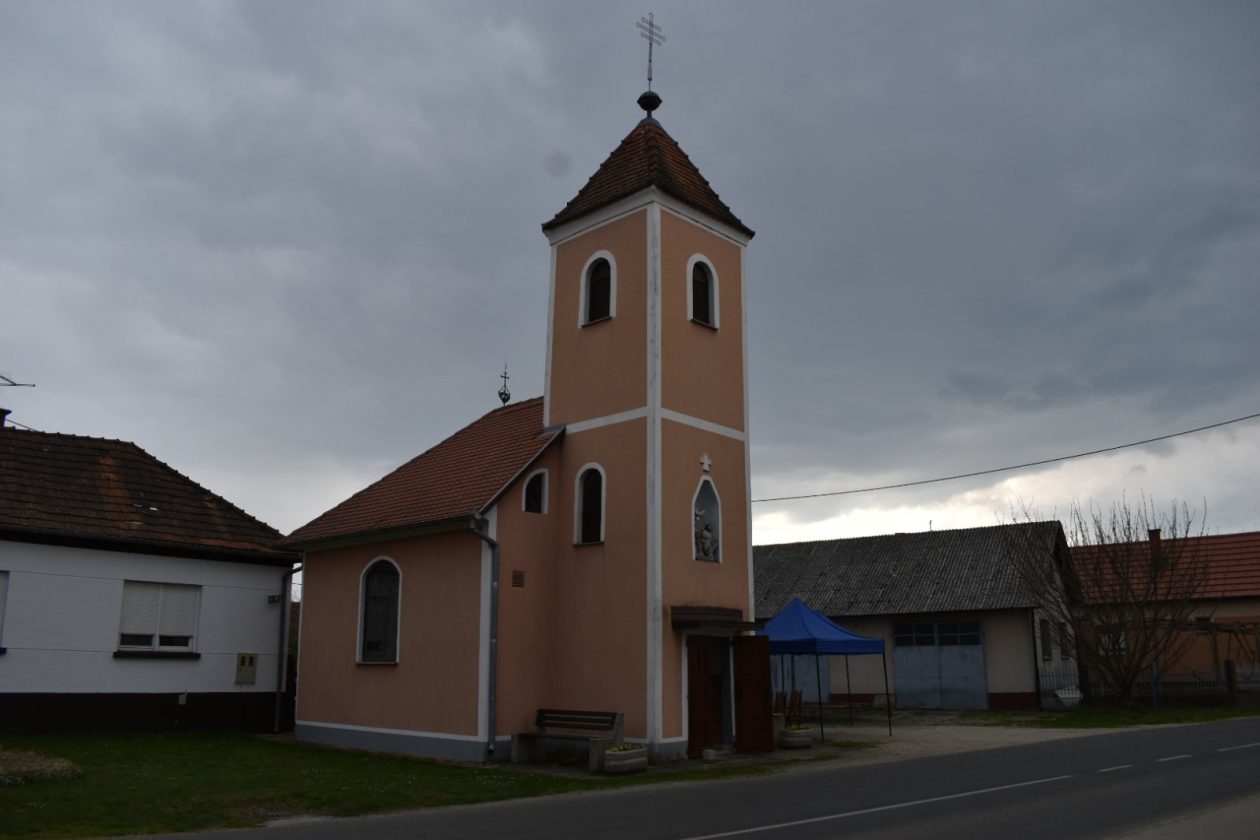 DAN PALINOVCA (3) DAN PALINOVCA (3)