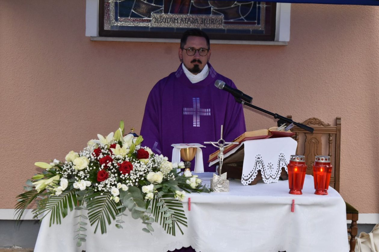 DAN PALINOVCA (7) DAN PALINOVCA (7)