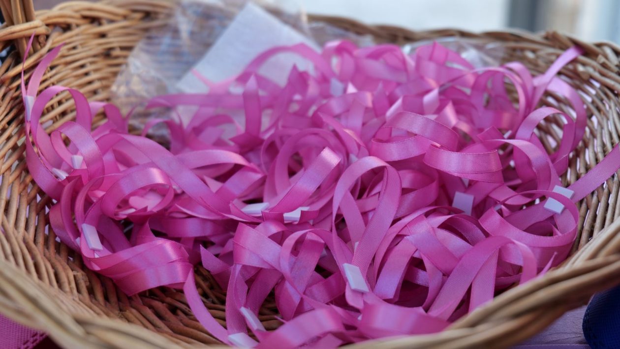 DAN RUŽIČASTE VRPCE Čakovčanke hodale za prevenciju i poručile Odlazak na pregled spašava život (5)