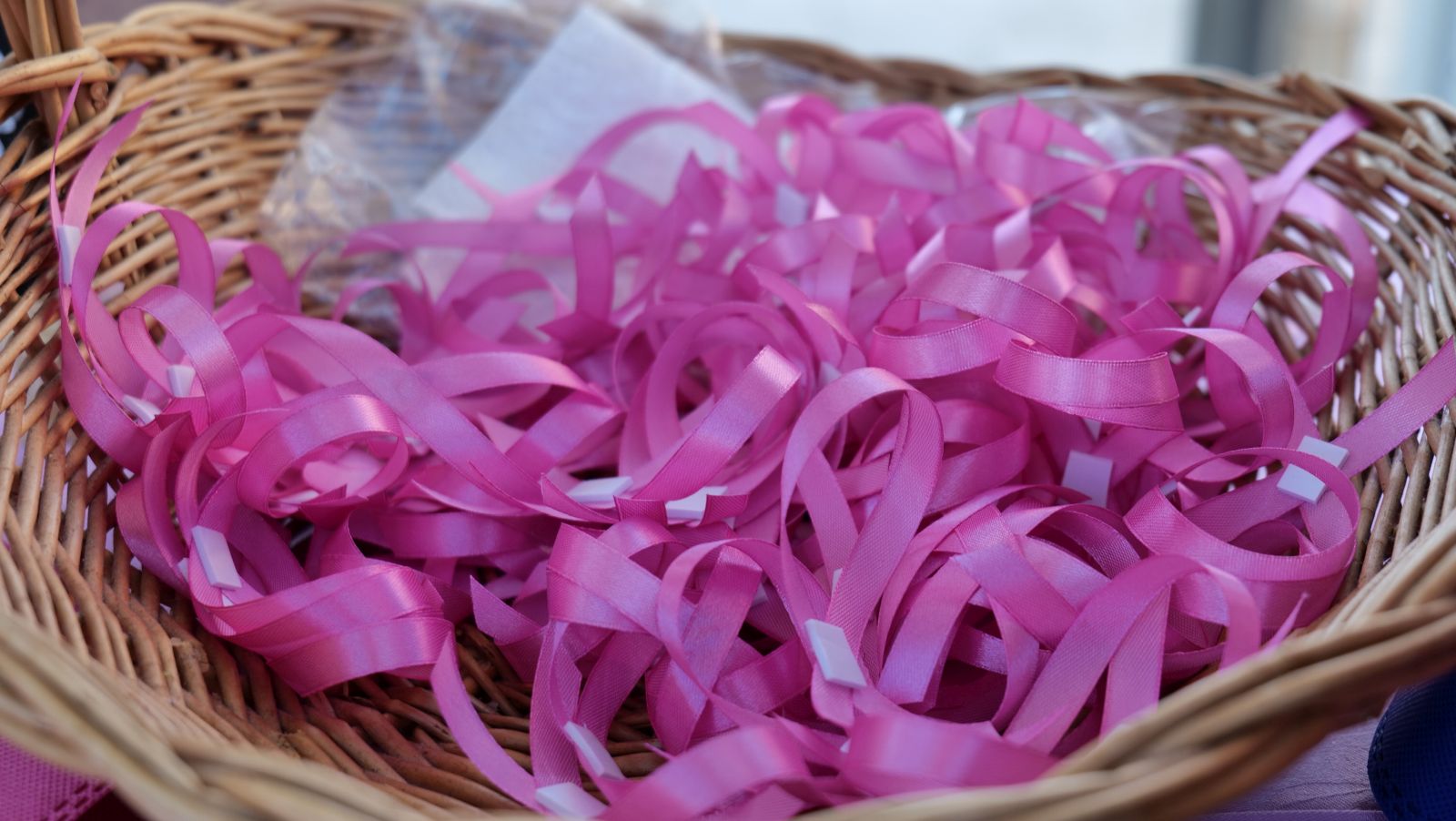 DAN RUŽIČASTE VRPCE Čakovčanke hodale za prevenciju i poručile Odlazak na pregled spašava život (5) DAN RUŽIČASTE VRPCE Čakovčanke hodale za prevenciju i poručile Odlazak na pregled spašava život (5)