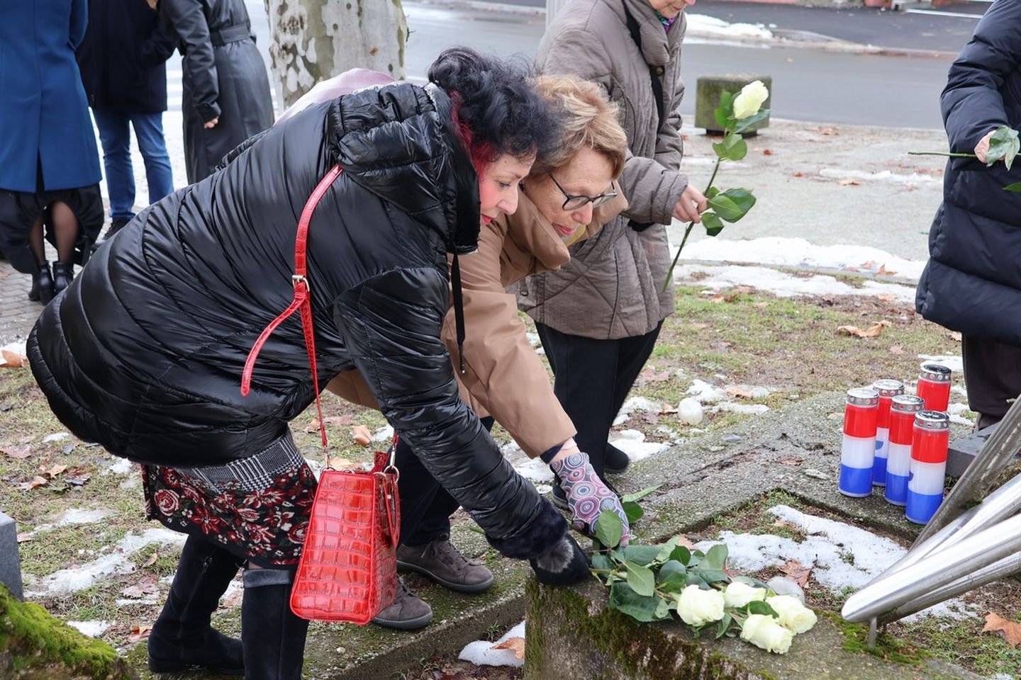 DAN SJEĆANJA Izaslanstvo Čakovca odalo počast žrtvama holokausta (6)